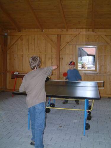 tischtennis1.jpg (20048 Byte)